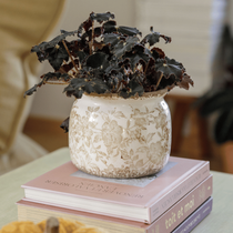 Une plante en pot posée sur une pile de livre