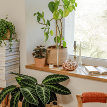 Un rebord de fenêtre décoré pour l'automne avec des citrouilles, des bougies, un livre et des végétaux