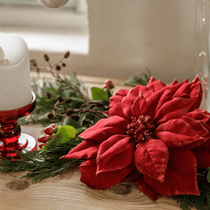 Zoom sur un poinsettia posé sur un meuble avec des branches de sapin