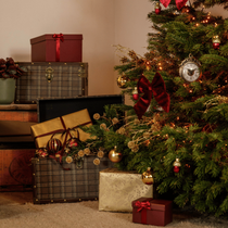 Une pile de cadeaux de Noël disposée sous le sapin
