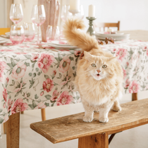 Un chat blanc et roux sur un banc bois autour de la table "Elegante hellebore"