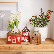 Des plantes et fleurs de Noël avec des décorations en forme de maison sur une étagère