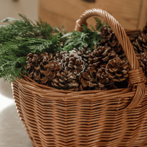 Un panier rempli de pommes de pin avec des branches de sapin