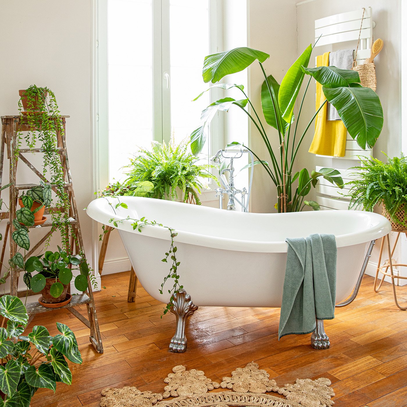 Quelles plantes vertes dans une salle de bain ?