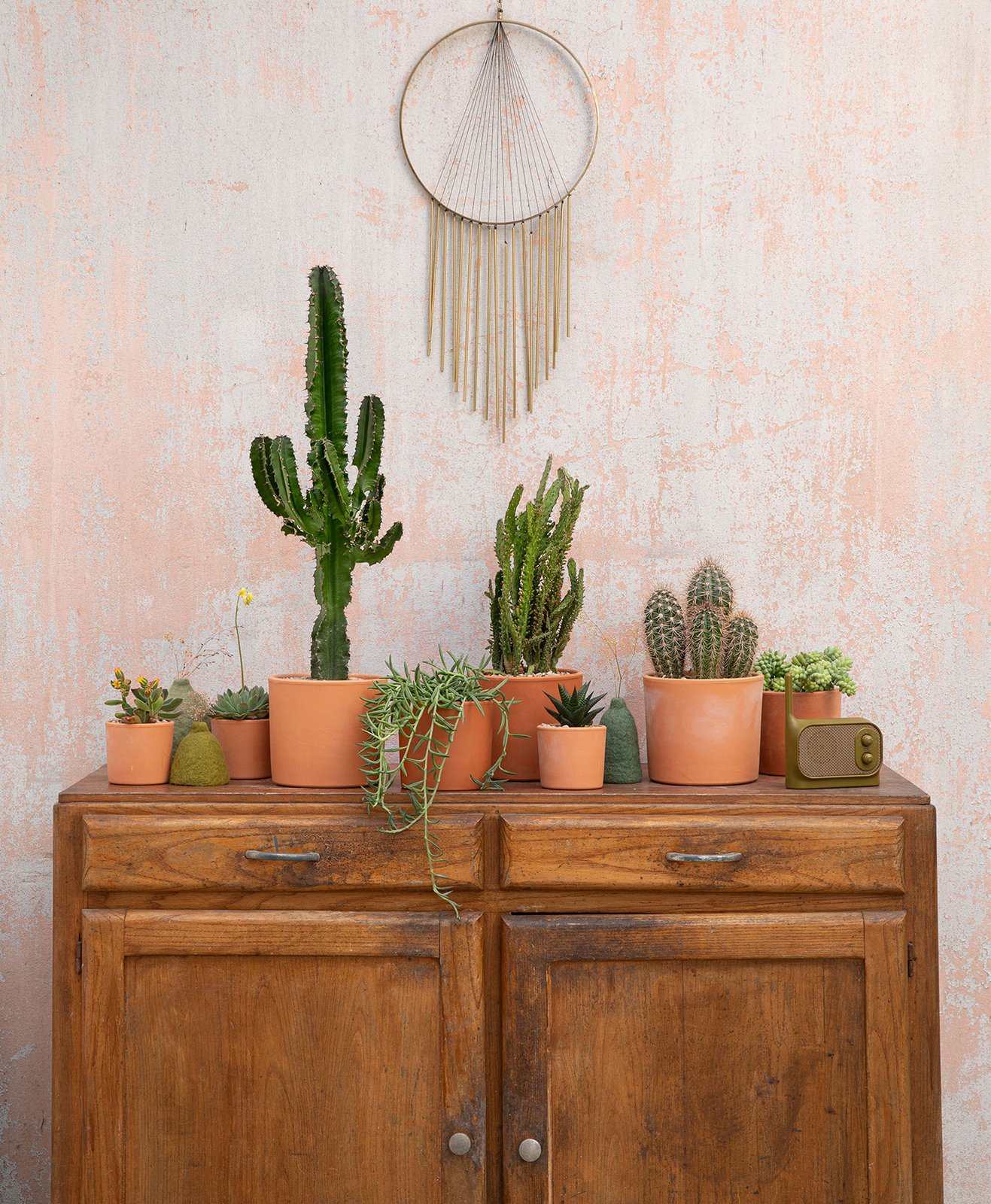 Cactus en pot et décoration maison