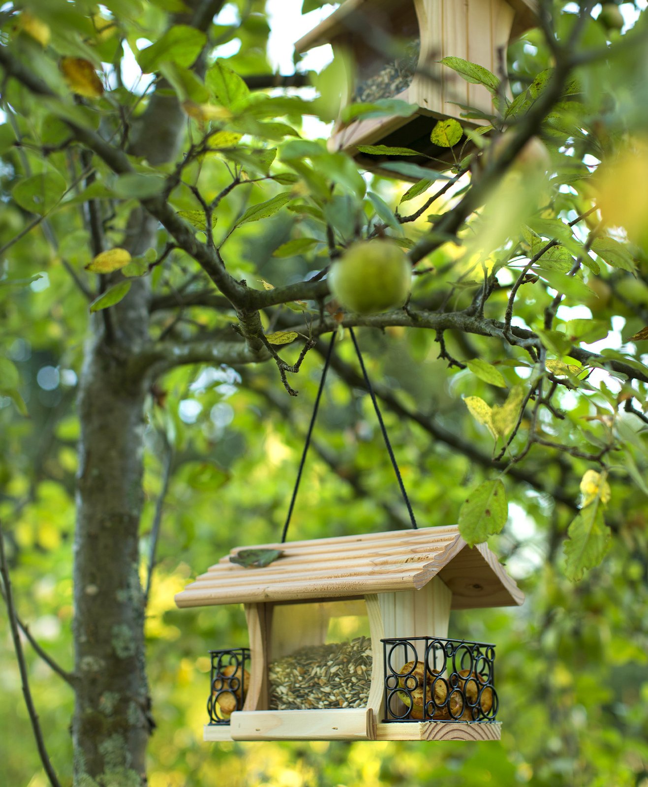 Une mangeoire suspendue à un arbre pour accueillir les oiseaux du jardin