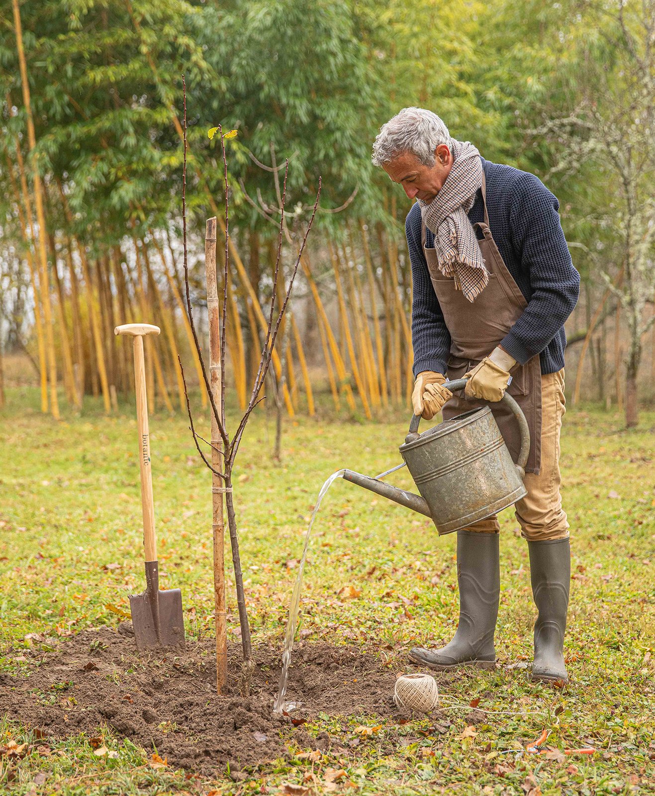 Un homme qui réalise l'entretien de son arbre fruitier à racines nues
