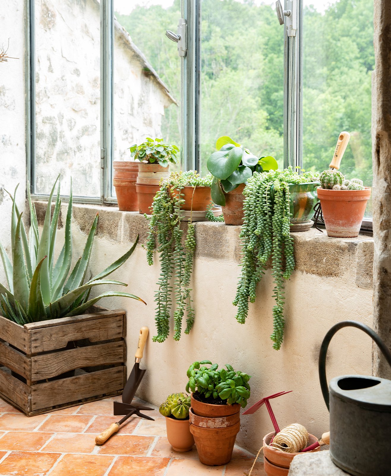 Une serre pour accueillir les plantes d'intérieur