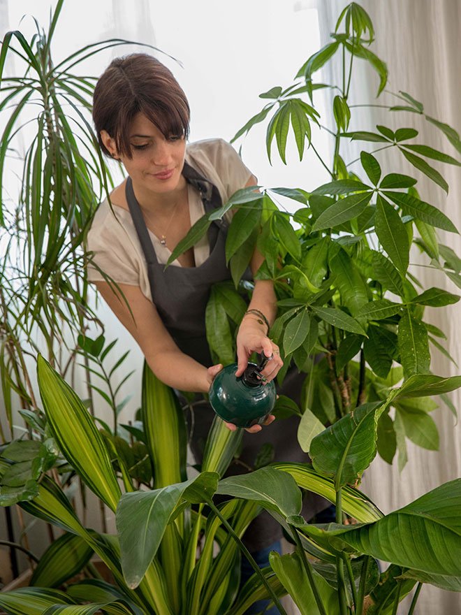 8 astuces botanic® pour arroser ses plantes d’intérieur pendant les vacances