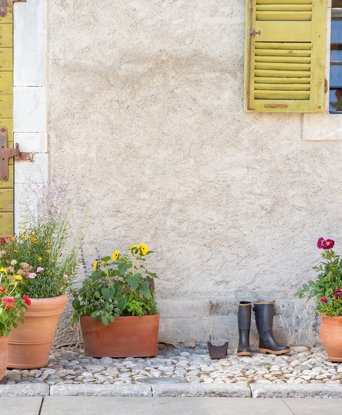 Une jardinière et des pots de fleurs en terre cuite à l'entrée d'une maison