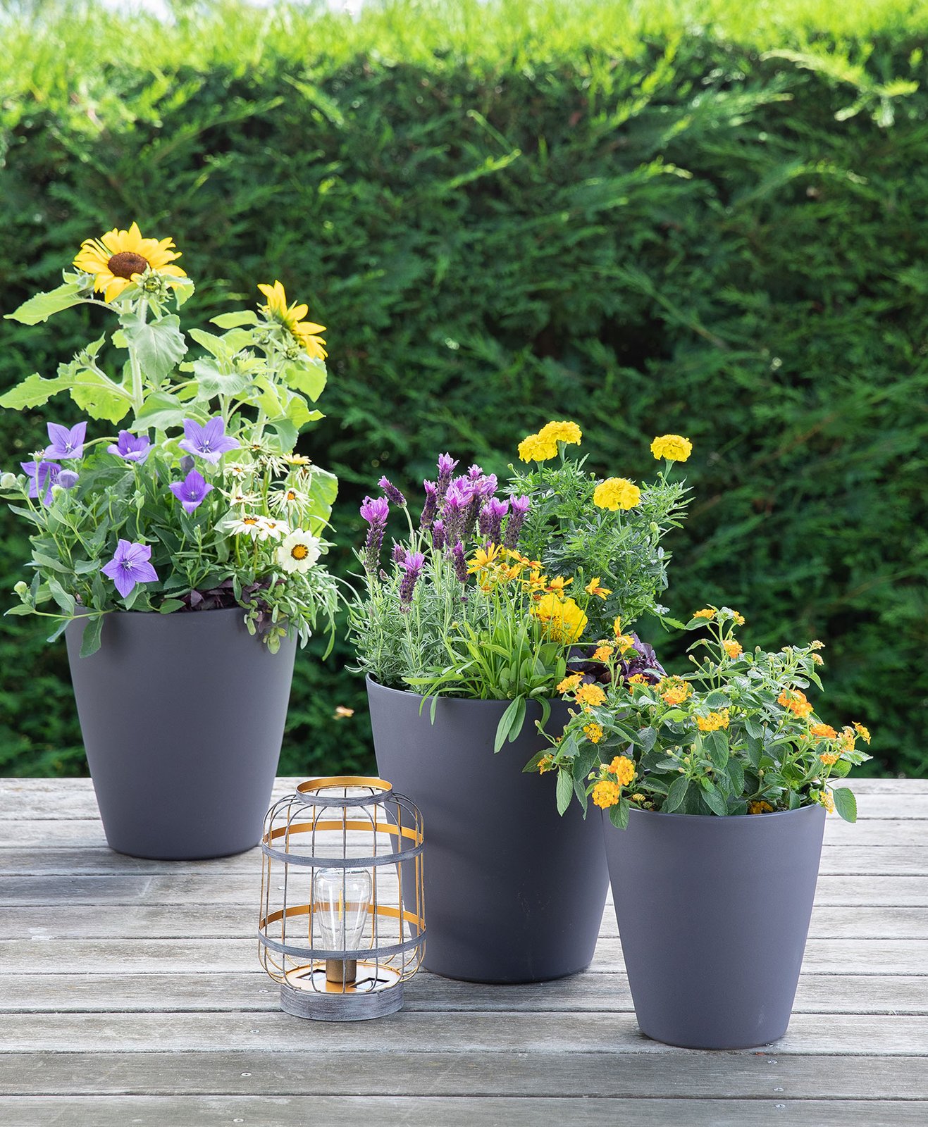 Des pots à fleurs gris sur une terrasse