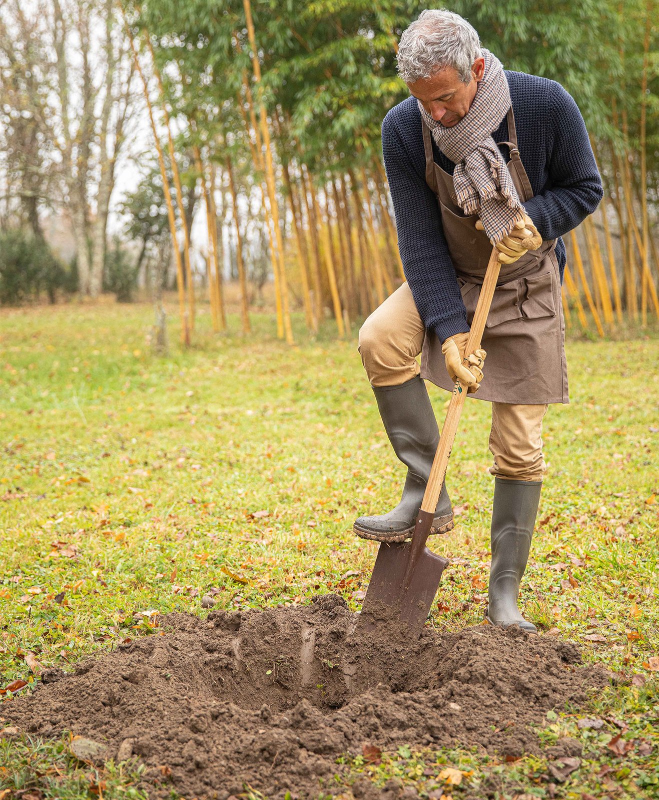 Un homme prépare le sol pour plantation d'un arbre fruitier