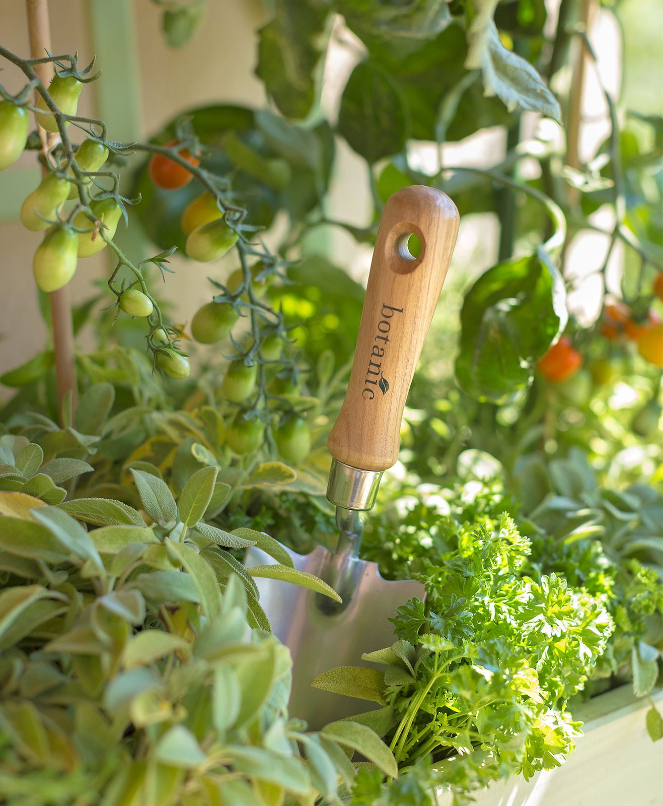 Plants de tomates cultivés sur un balcon et outil de jardinage