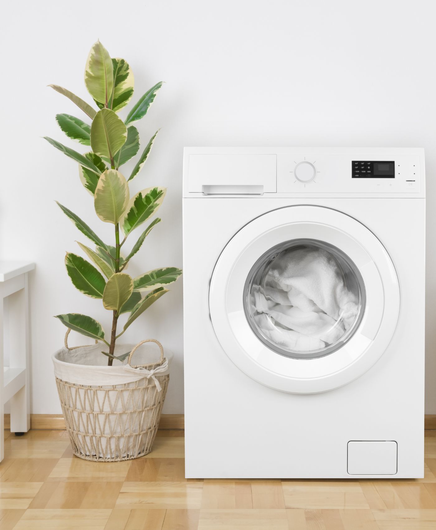 Une plante à côté d'une machine à laver en marche