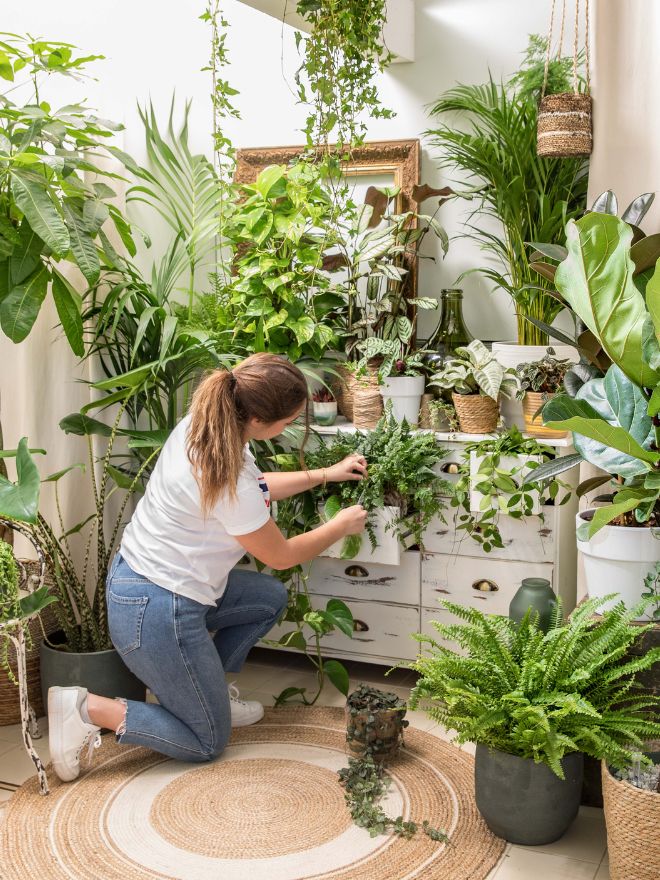 Une femme en train d'entretenir ses plantes d'intérieur
