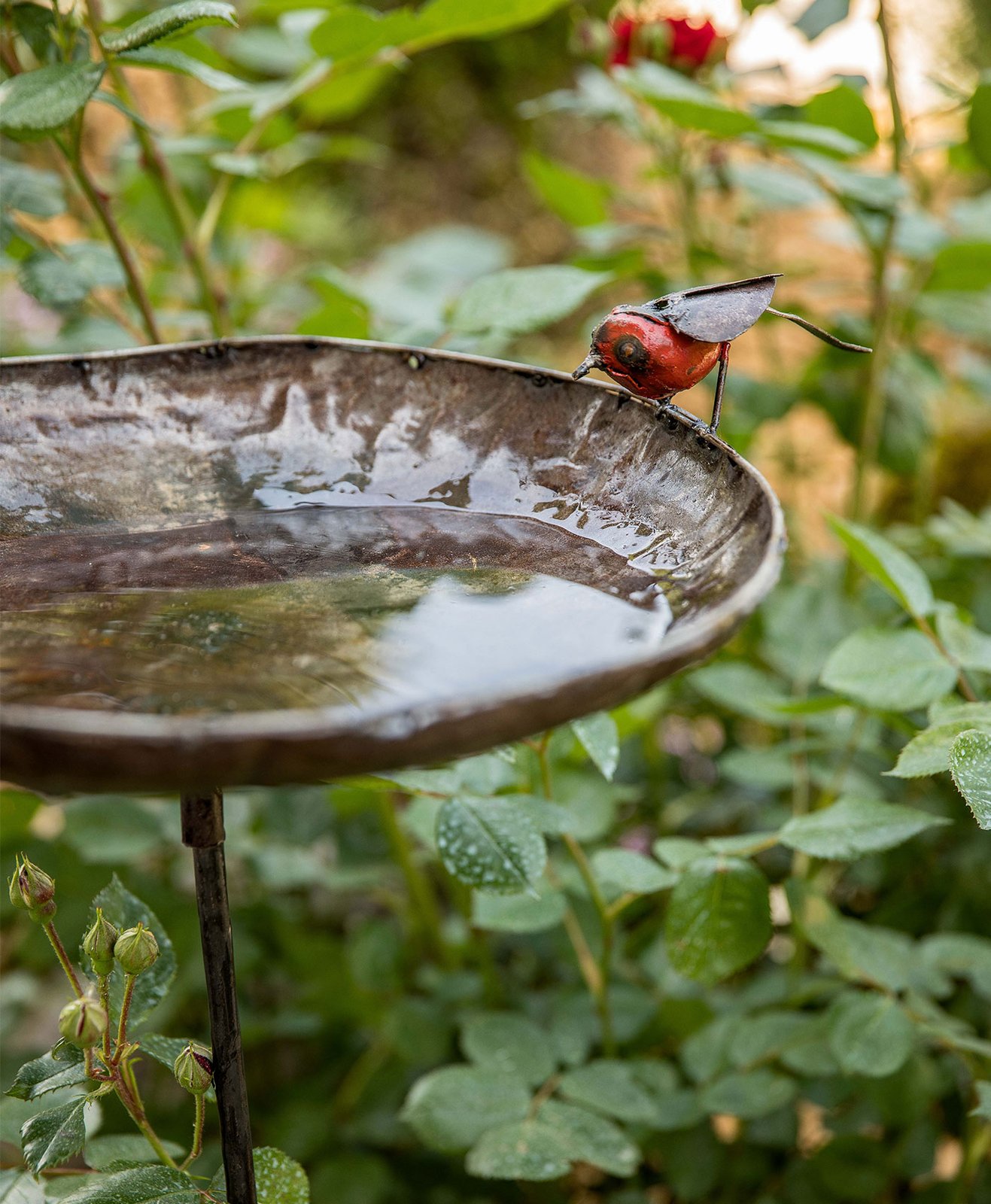 Un abreuvoir pour les oiseaux en métal dans un jardin