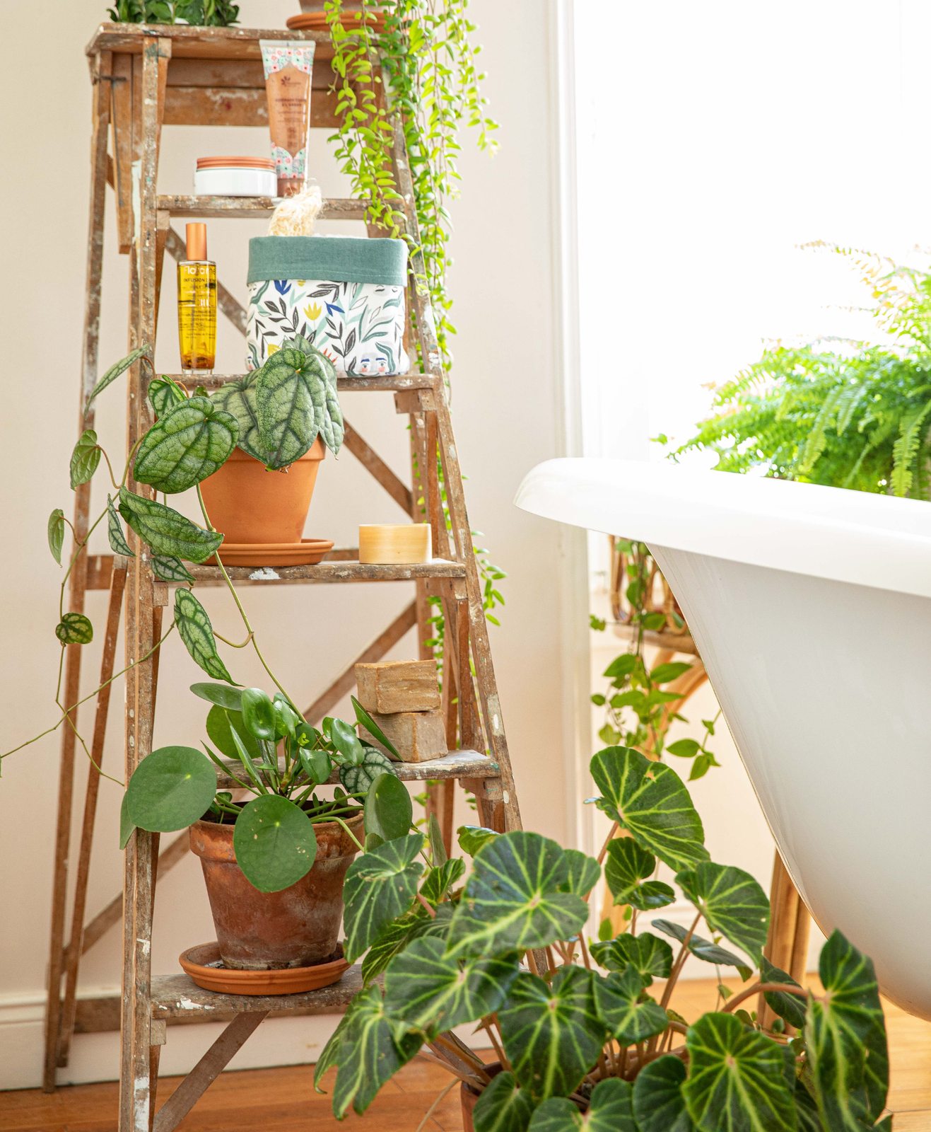 Une étagère dans une salle de bain avec des plantes et produits bio dessus