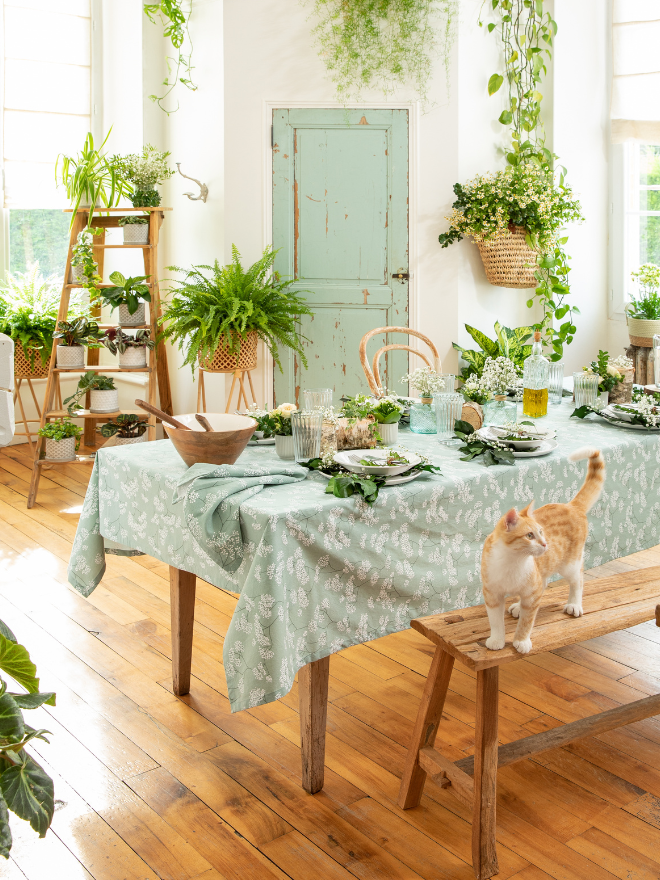 Un intérieur végétalisé, avec des plantes disposées sur une étagère et une table à manger