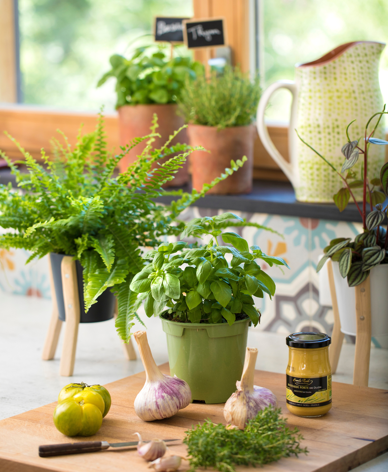 Des plantes aromatiques dans une cuisine