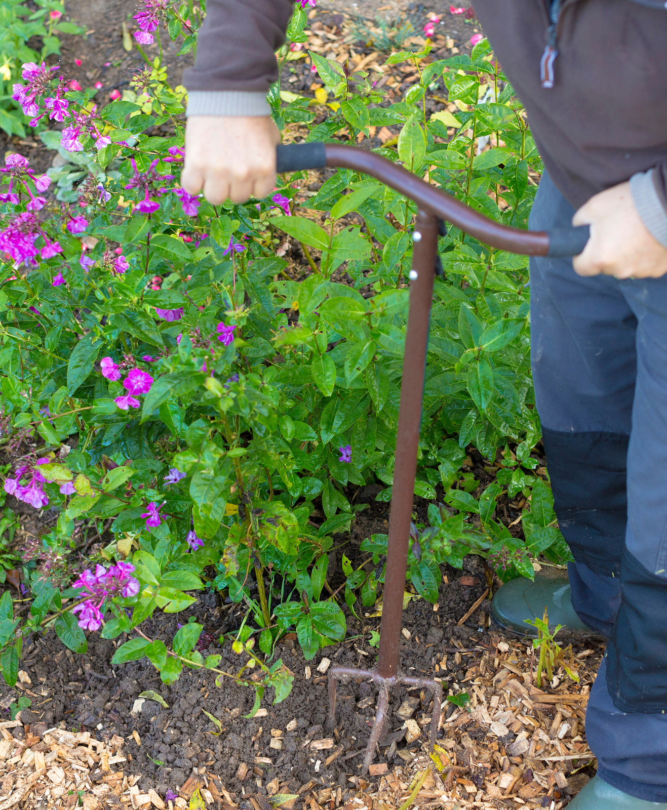 Un homme en train de creuser pour planter un hibiscus