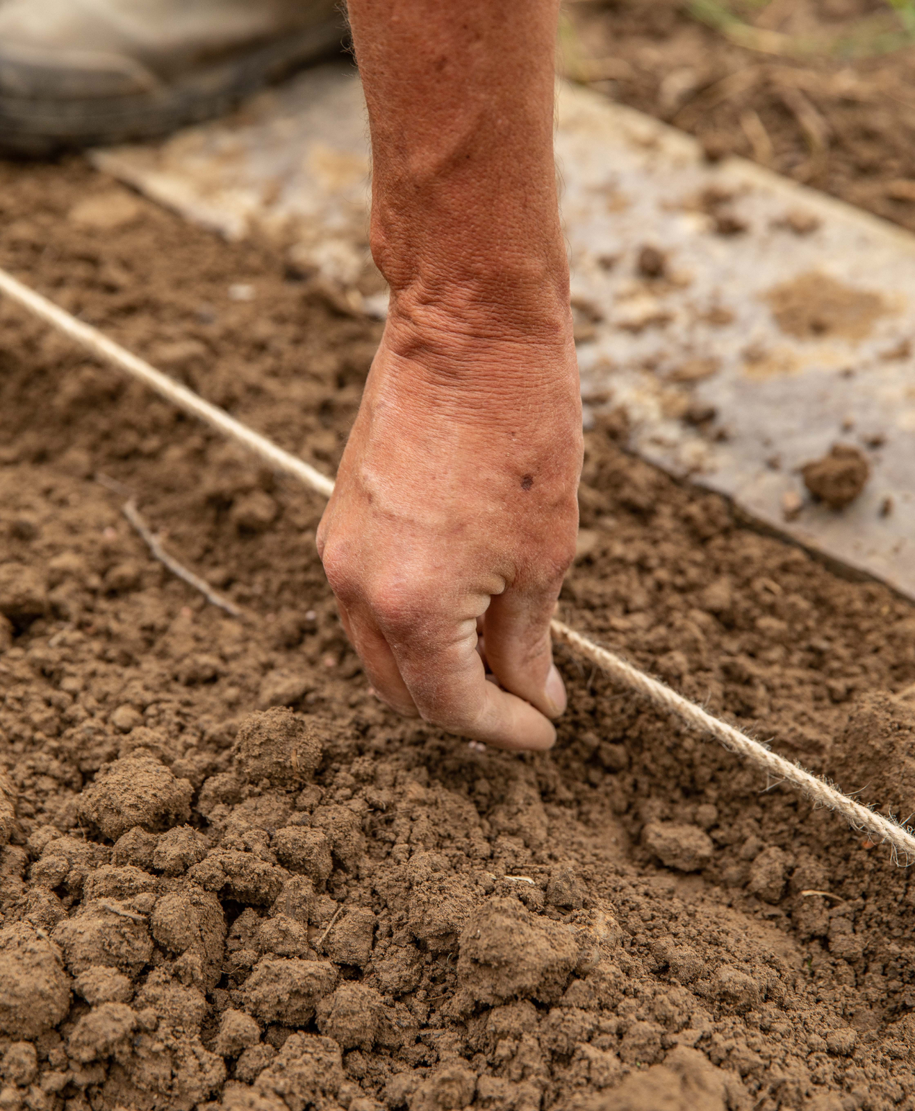 Un homme en train d'ajouter des graines de semences dans son sol
