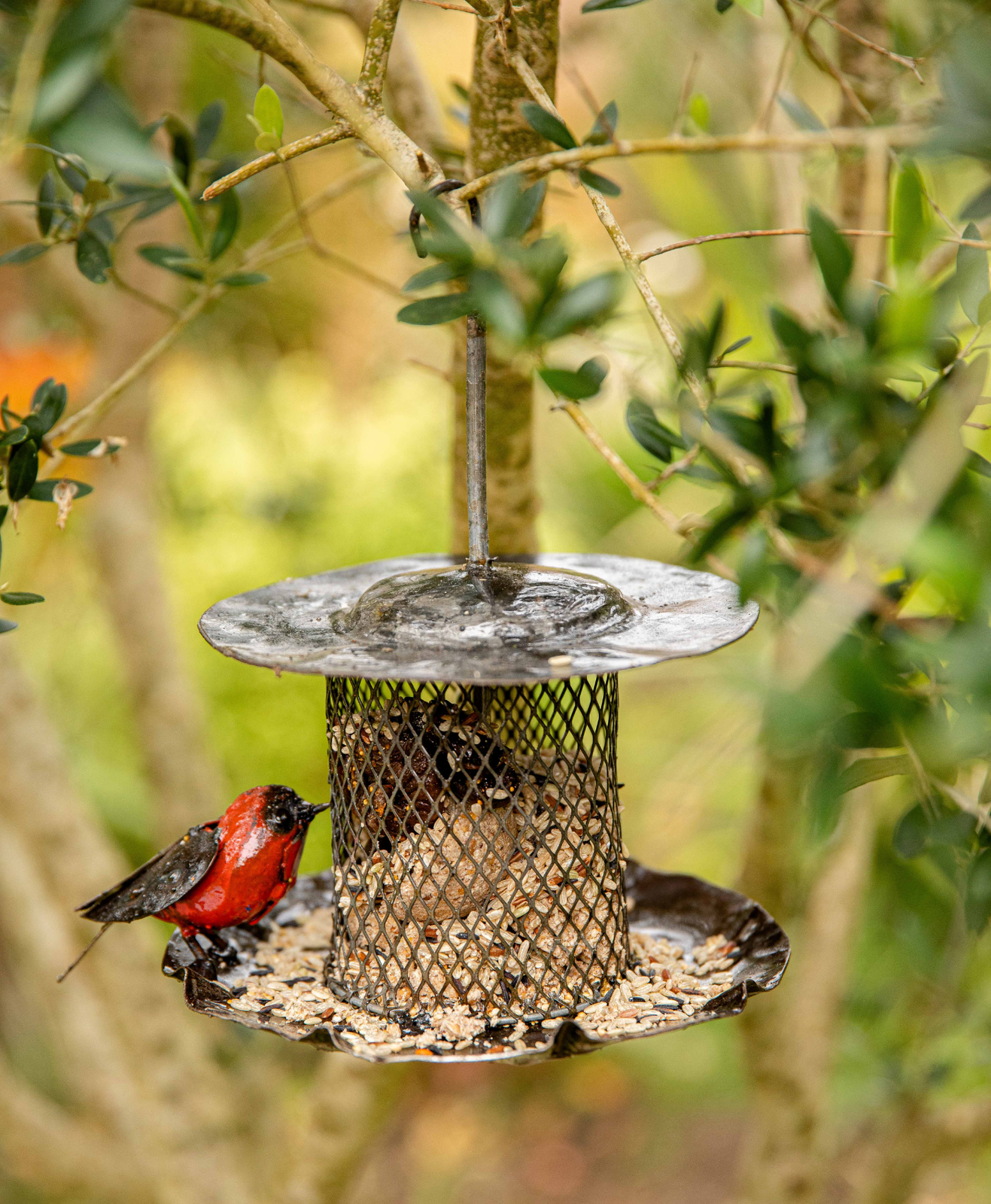 Un mangeoire pour oiseaux