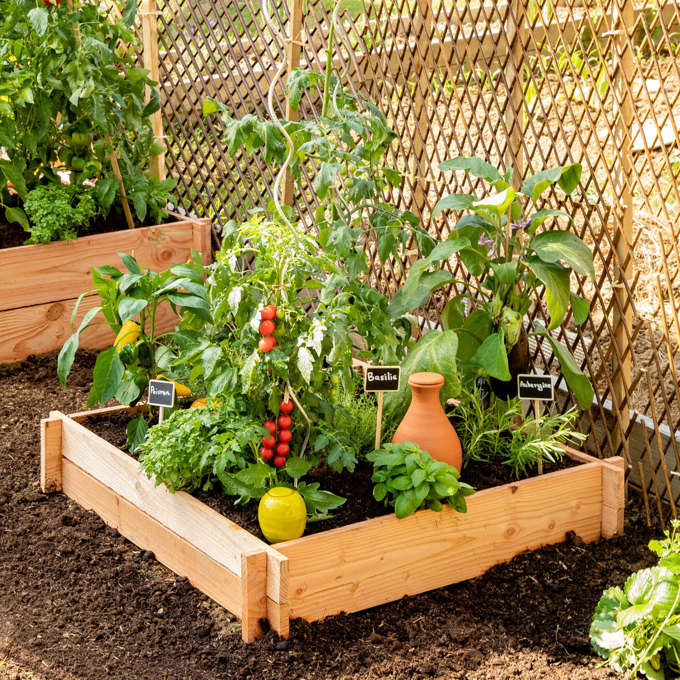 Carré potager en bois rempli de plants potager et avec un oyas à l'intérieur