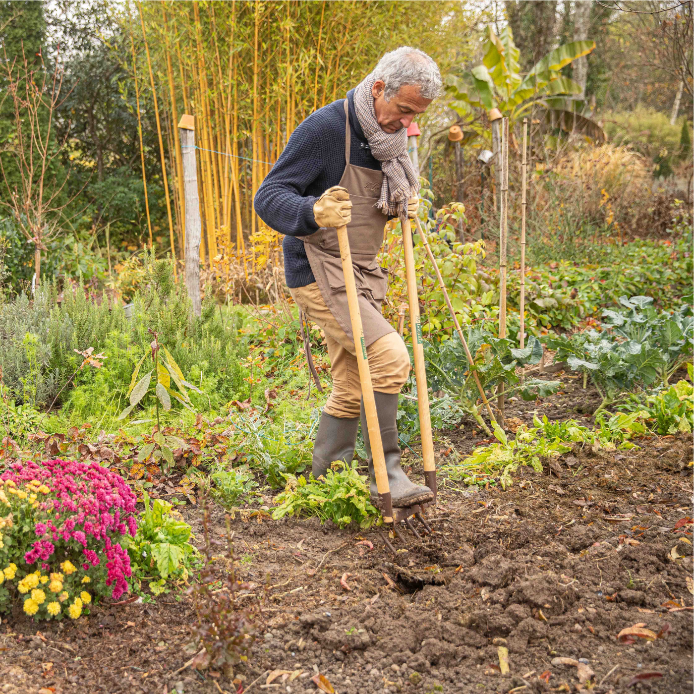image d'un homme en train de s'occuper de son potager