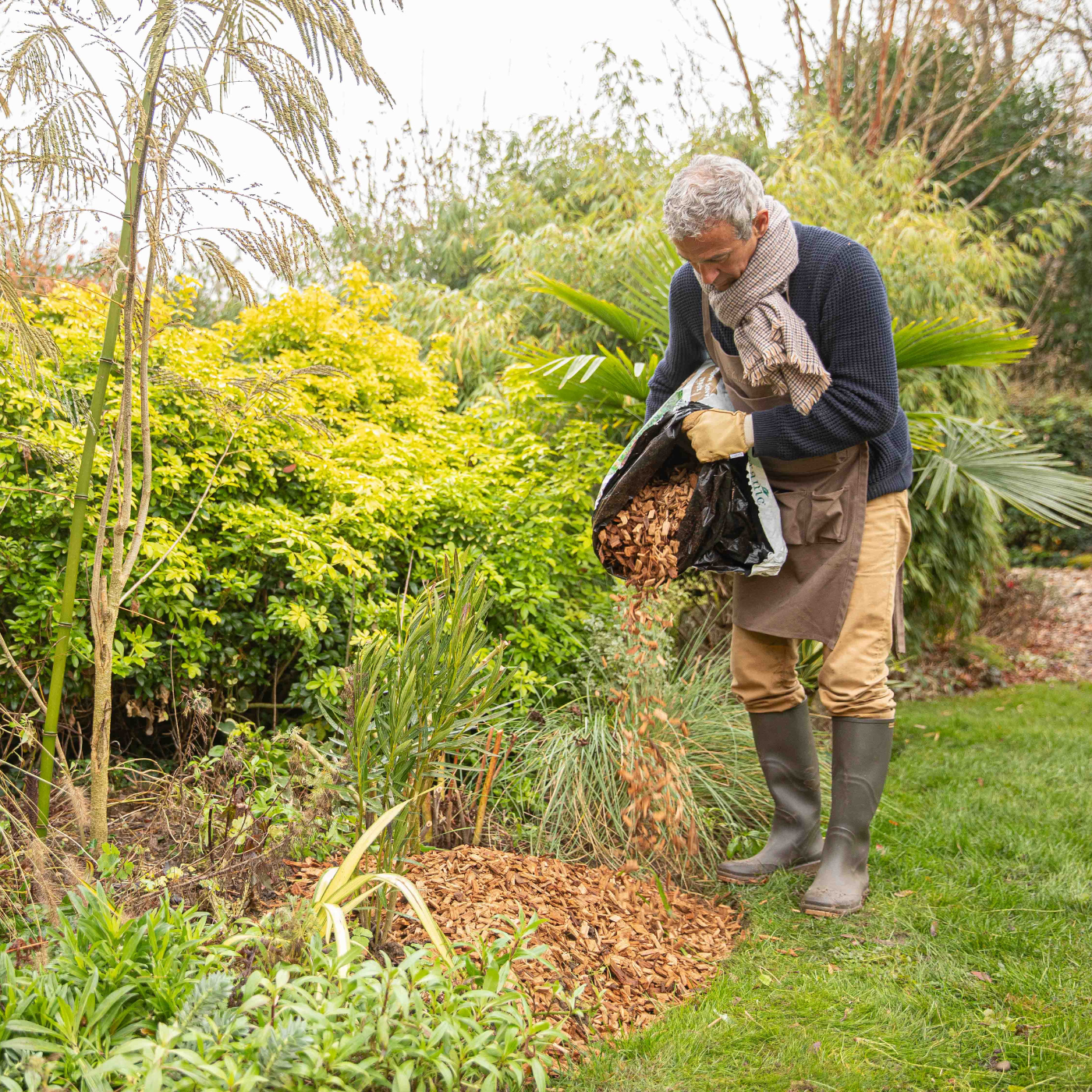 image d'un homme qui entretien son jardin pendant l'automne