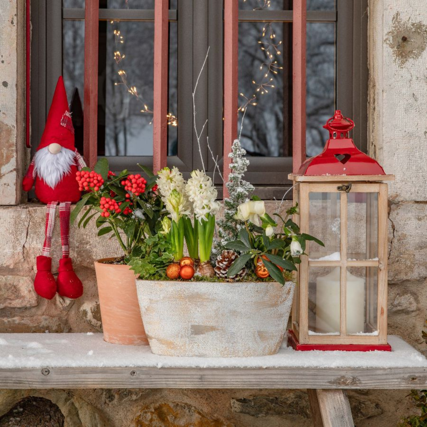 Image d'une plante et d'accessoires de Noël sur une table