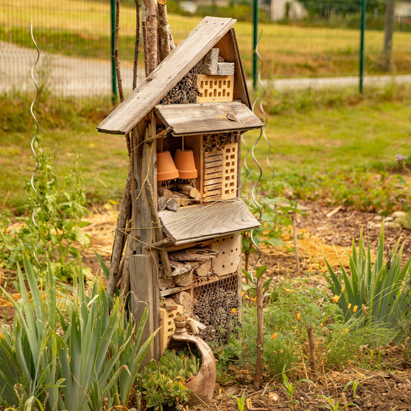 Image d'un abris à auxiliaire pour la biodiversité dans un jardin