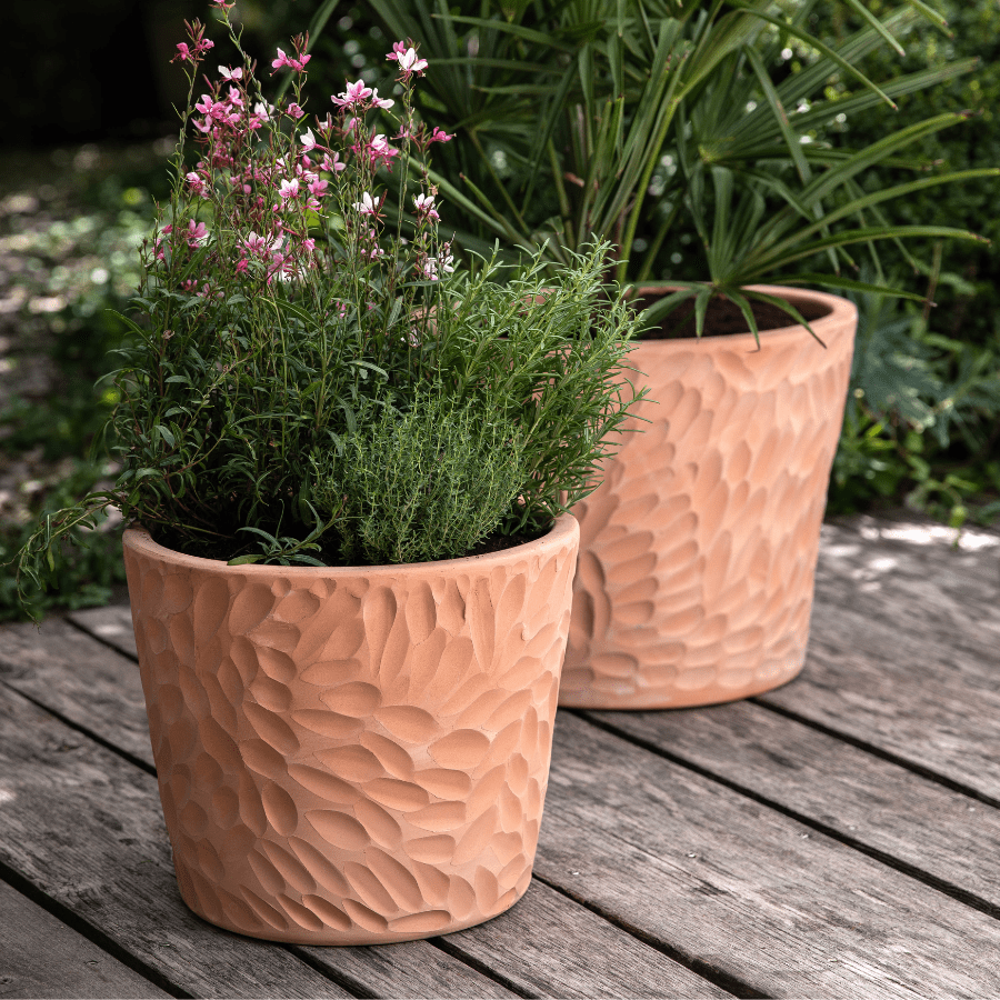 Jardinière en terre cuite avec plantes et fleurs