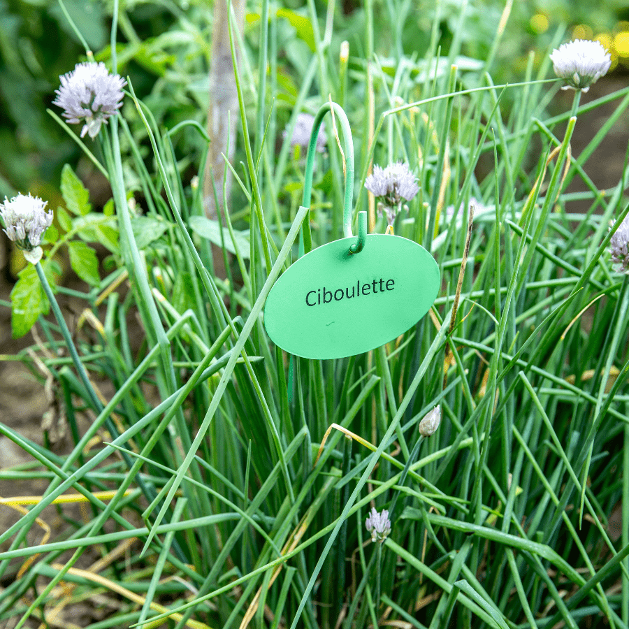 Décorations pour le potager