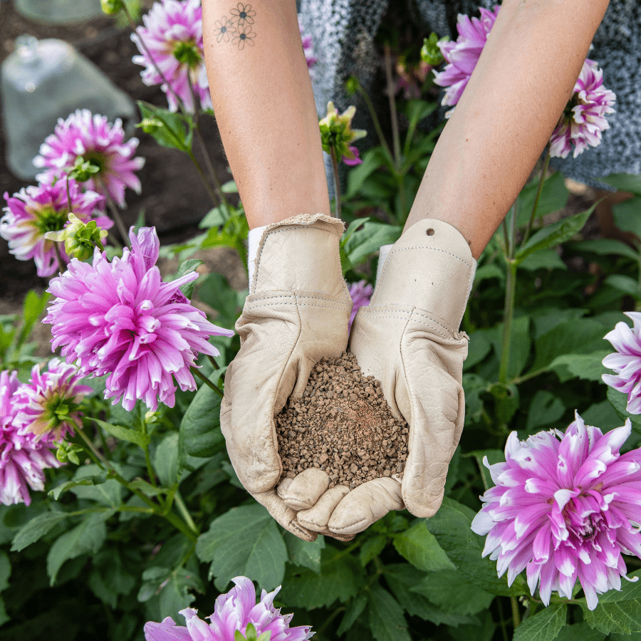 Engrais pour le jardin et le potager