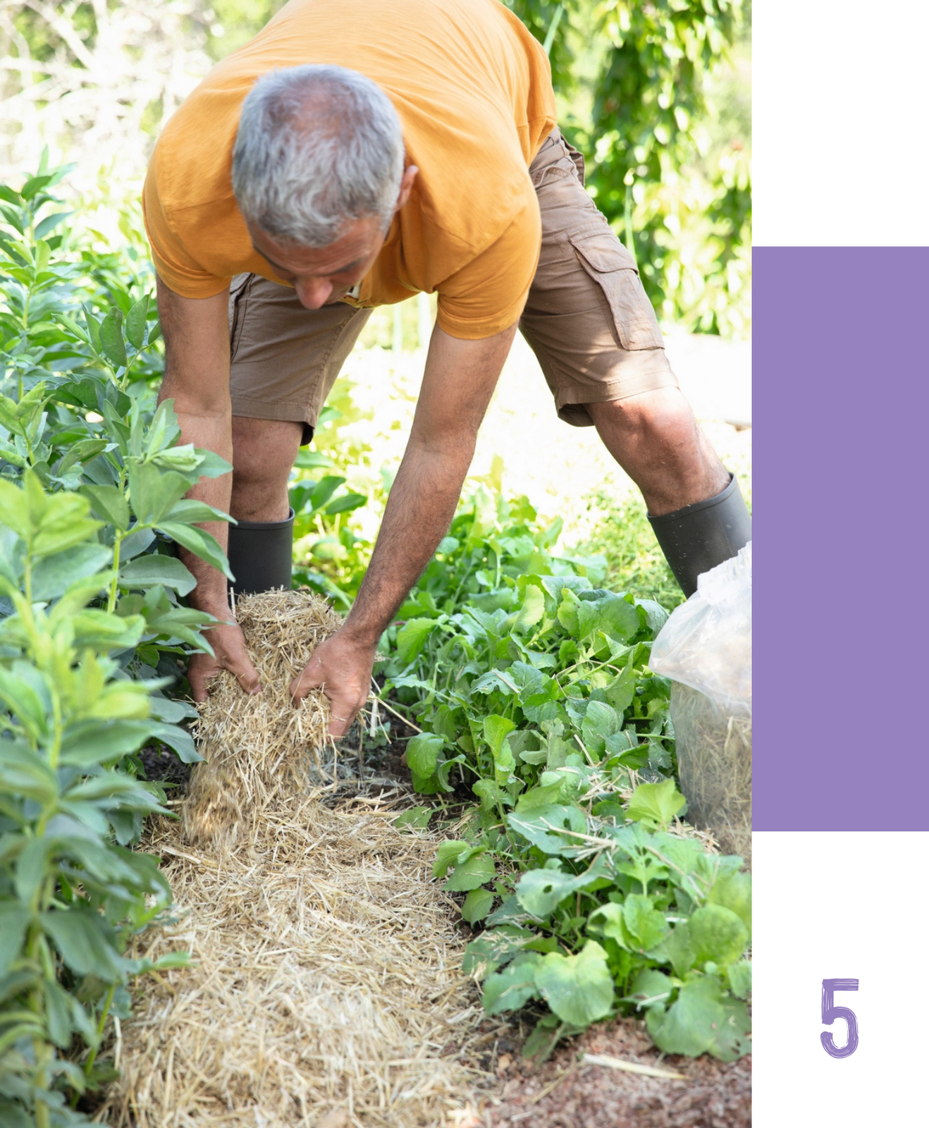 Pailler son potager : un geste simple pour économiser l’eau