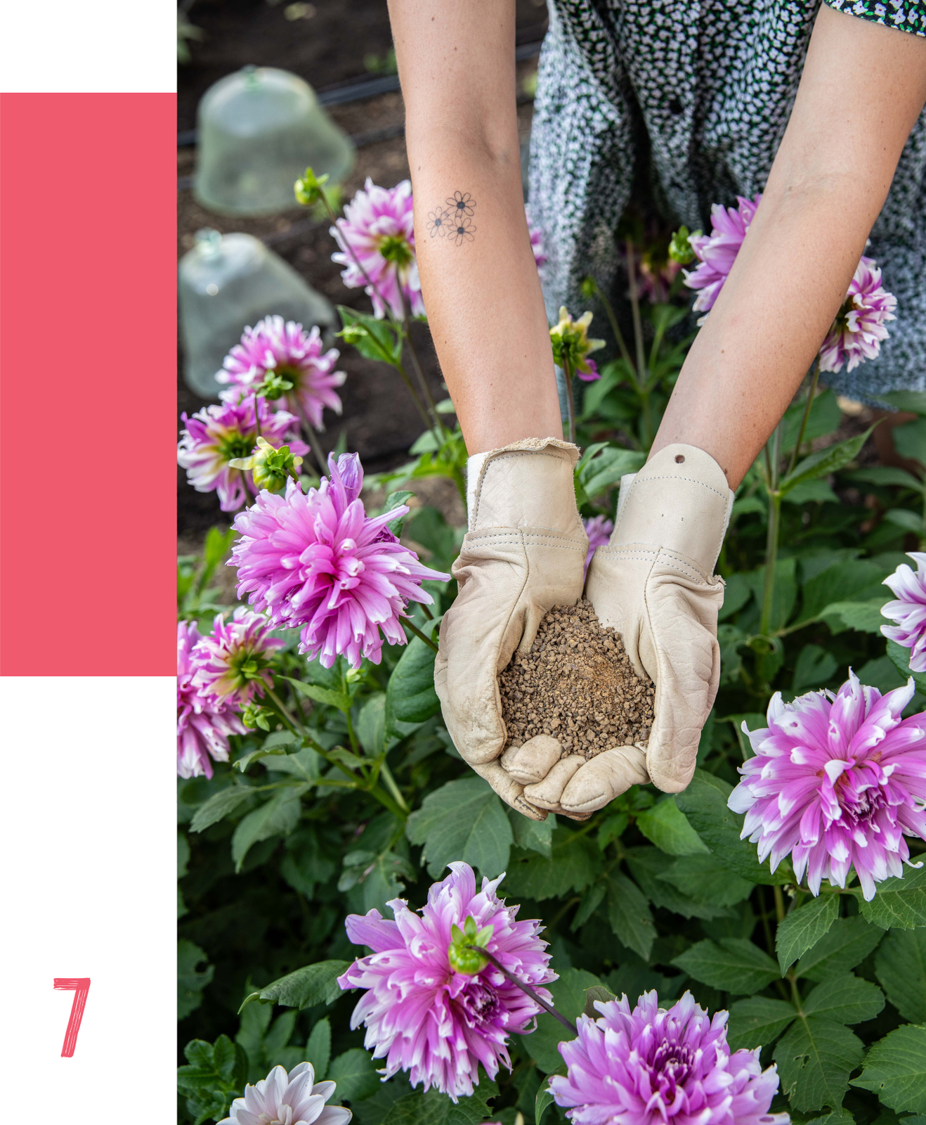 Jardiner au naturel : préserver la terre et favoriser la biodiversité