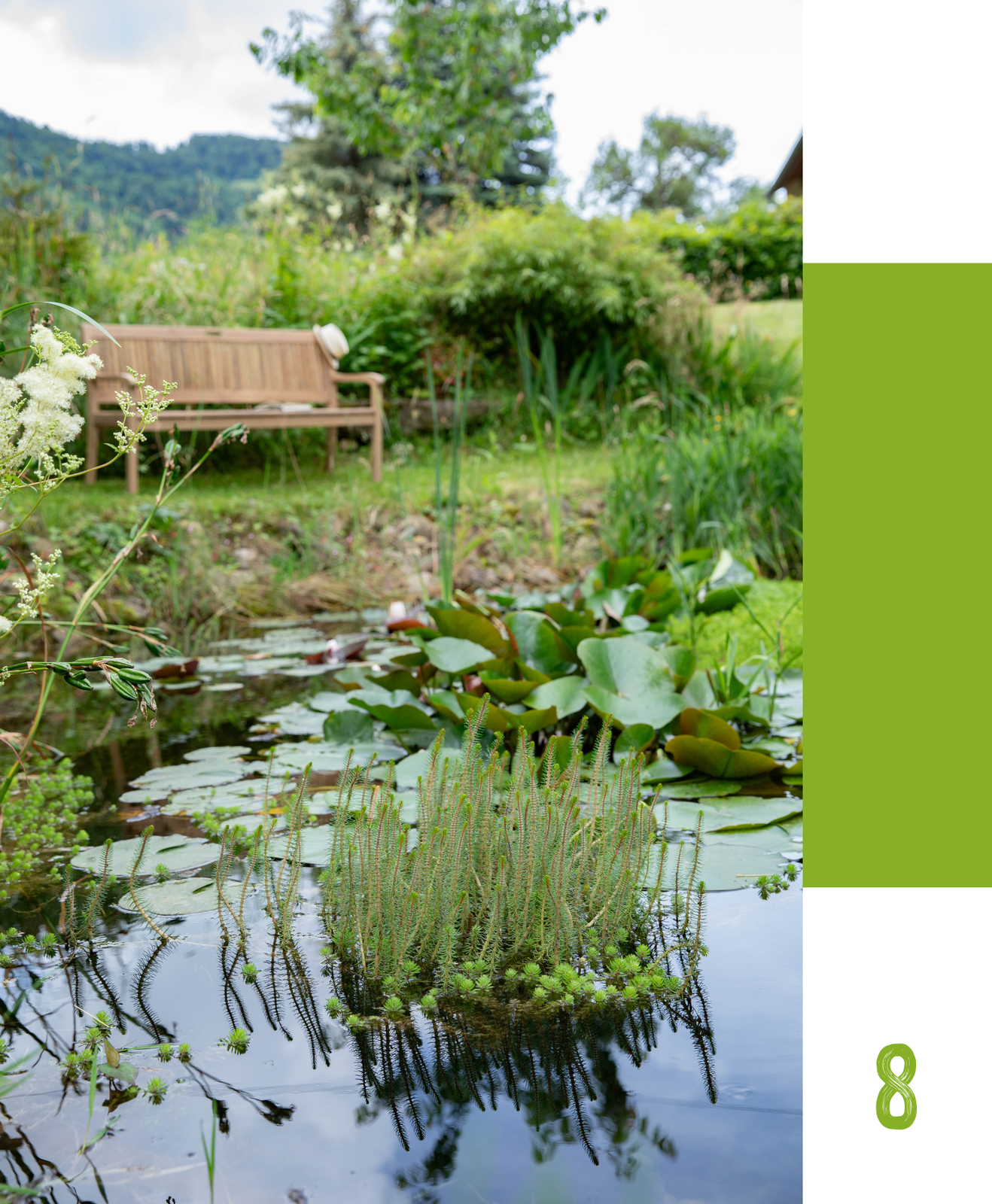 Créer un point d'eau au jardin : une oasis de fraîcheur et de biodiversité