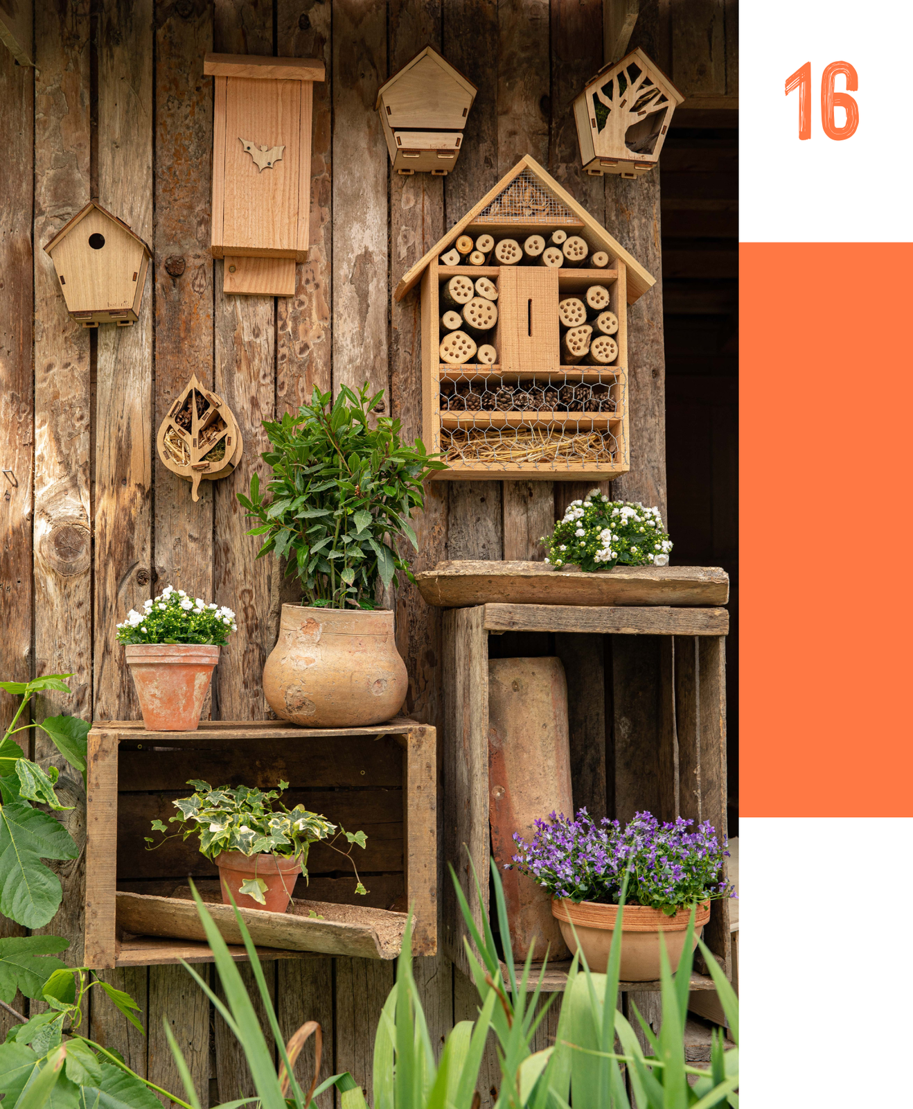 Installer des abris pour auxiliaires : un geste éco-responsable pour votre jardin