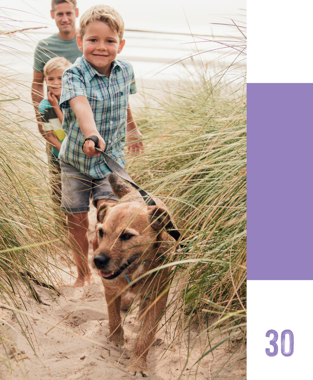 Créer un environnement adapté pour le bien-être de votre animal de compagnie