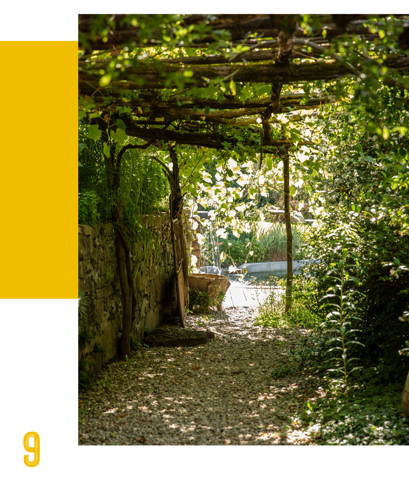 Créer des espaces ombragés avec des arbres, arbustes et plantes grimpantes