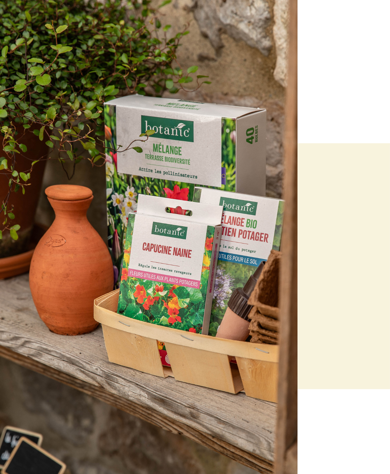 Des sachets de jachère fleurie