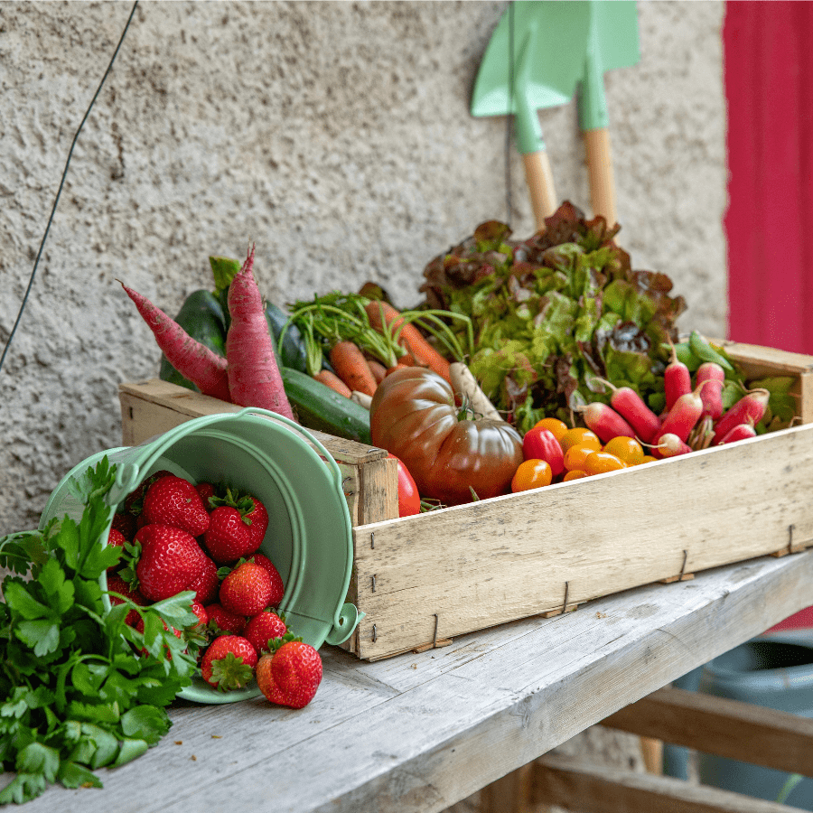 Fruits et légumes récoltés dans le potager