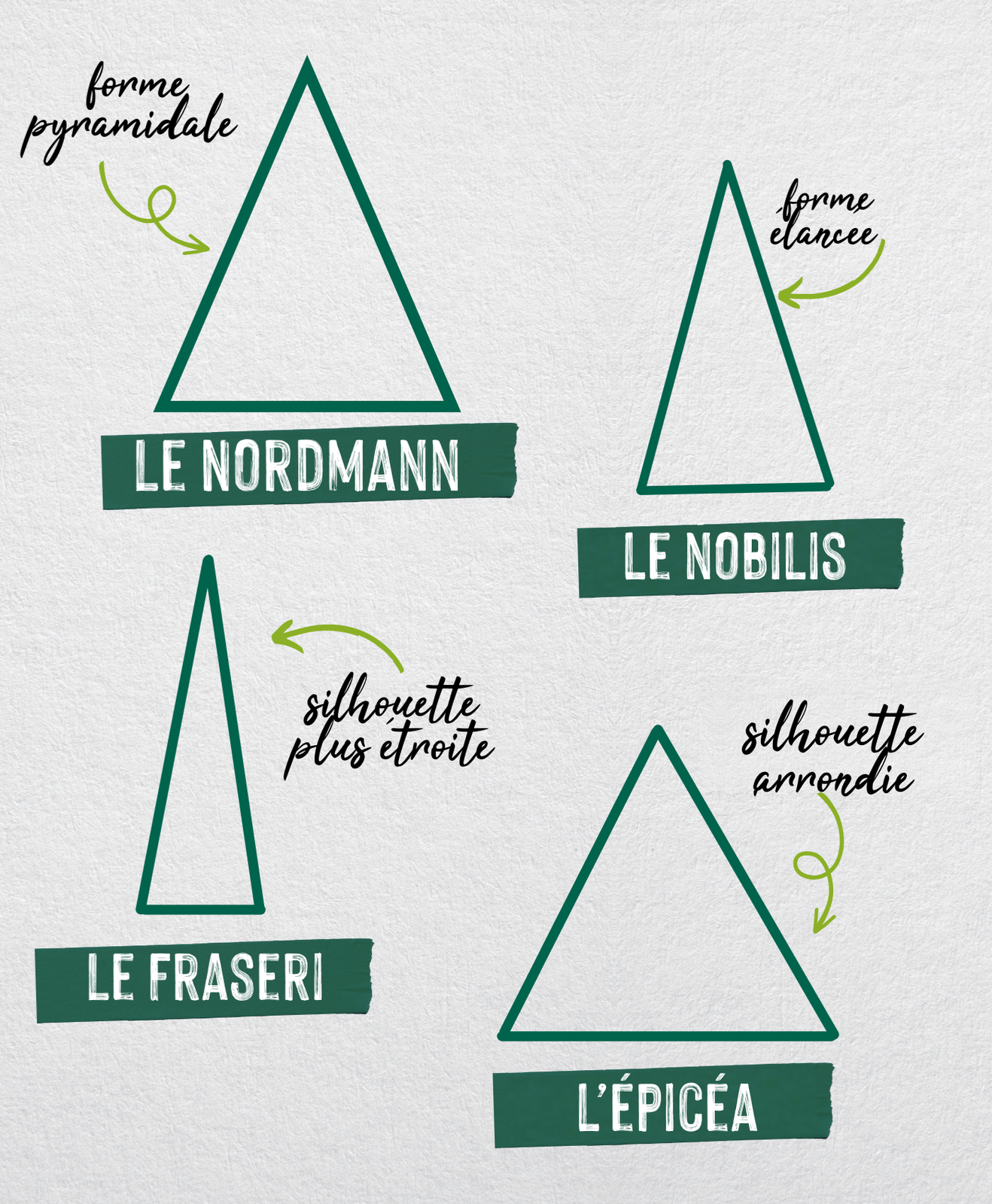 Quelle forme de sapin de Noël choisir ?