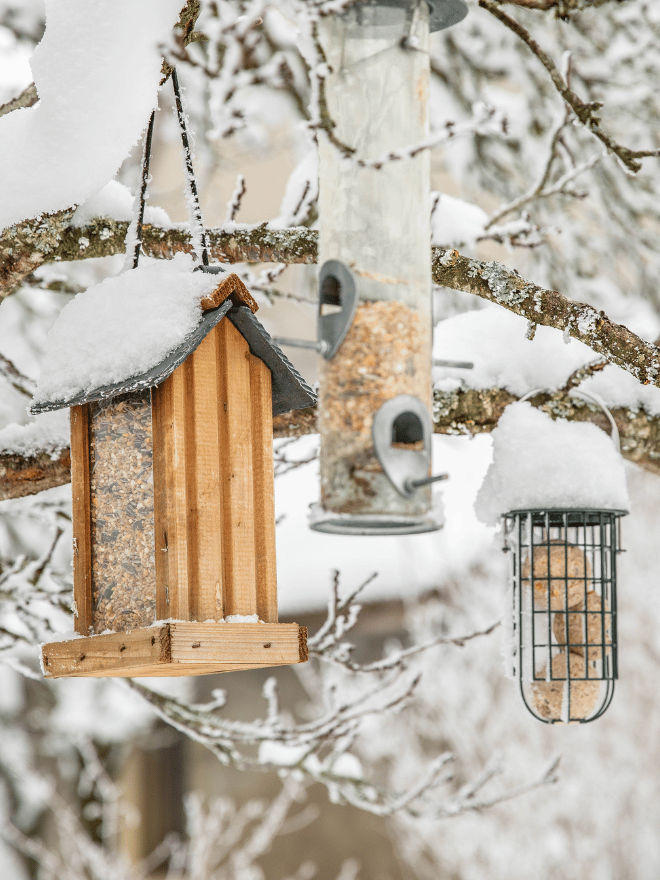 Un mangeoire pour oiseaux sur un arbre en hiver
