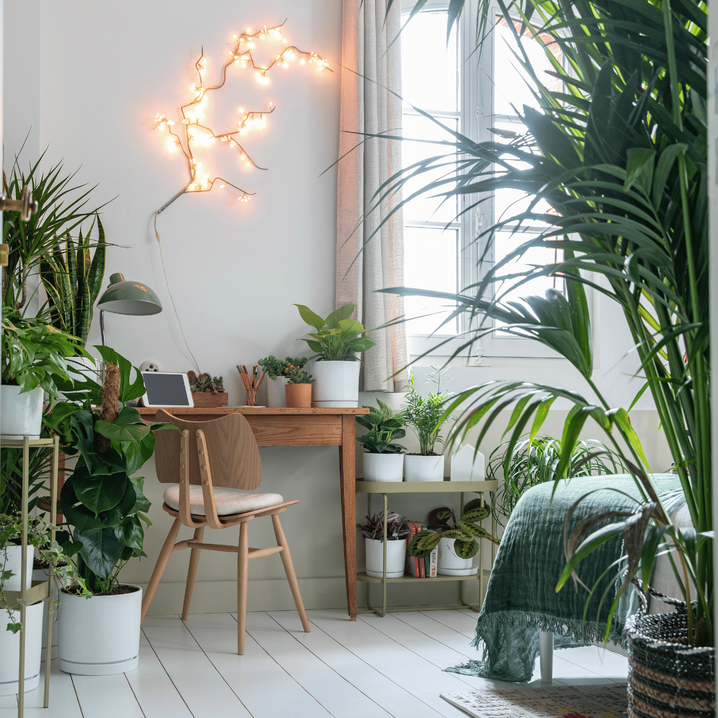 Bureau dans la chambre avec plantes vertes