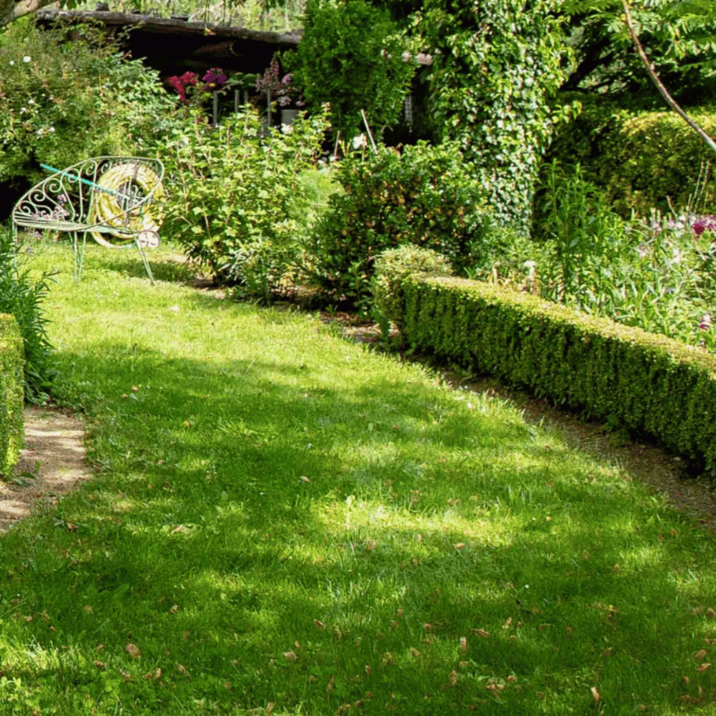 Jardin verdoyant au gazon vert