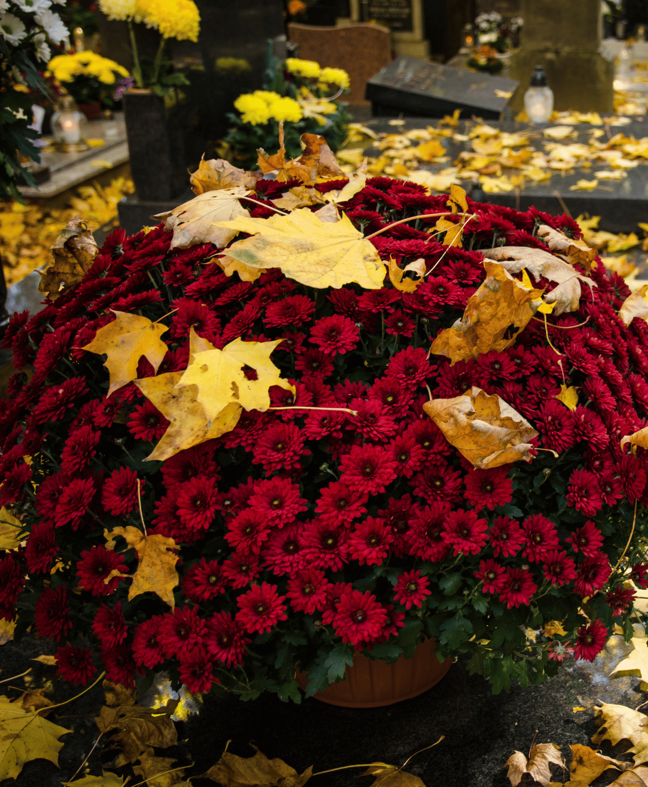 Composition florale de Toussaint