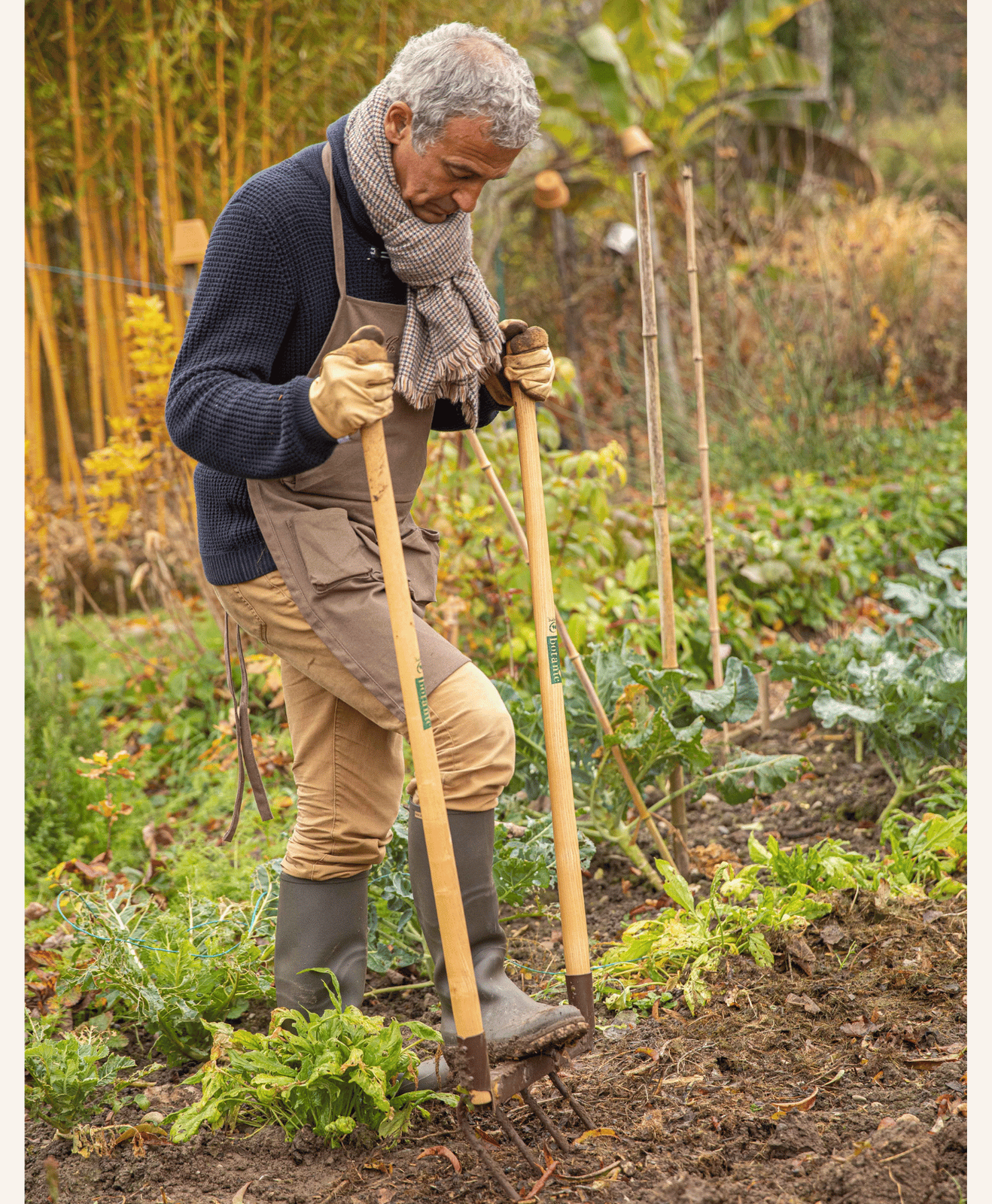 homme qui récolte ses derniers légumes d'automne