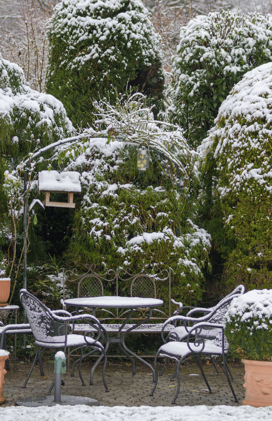 Un jardin enneigé