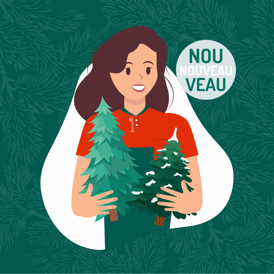 Pictogramme aide au choix sapin de Noël